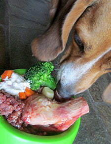 Raw Meat, Bone Substitution By Home Barfers Not Healthy