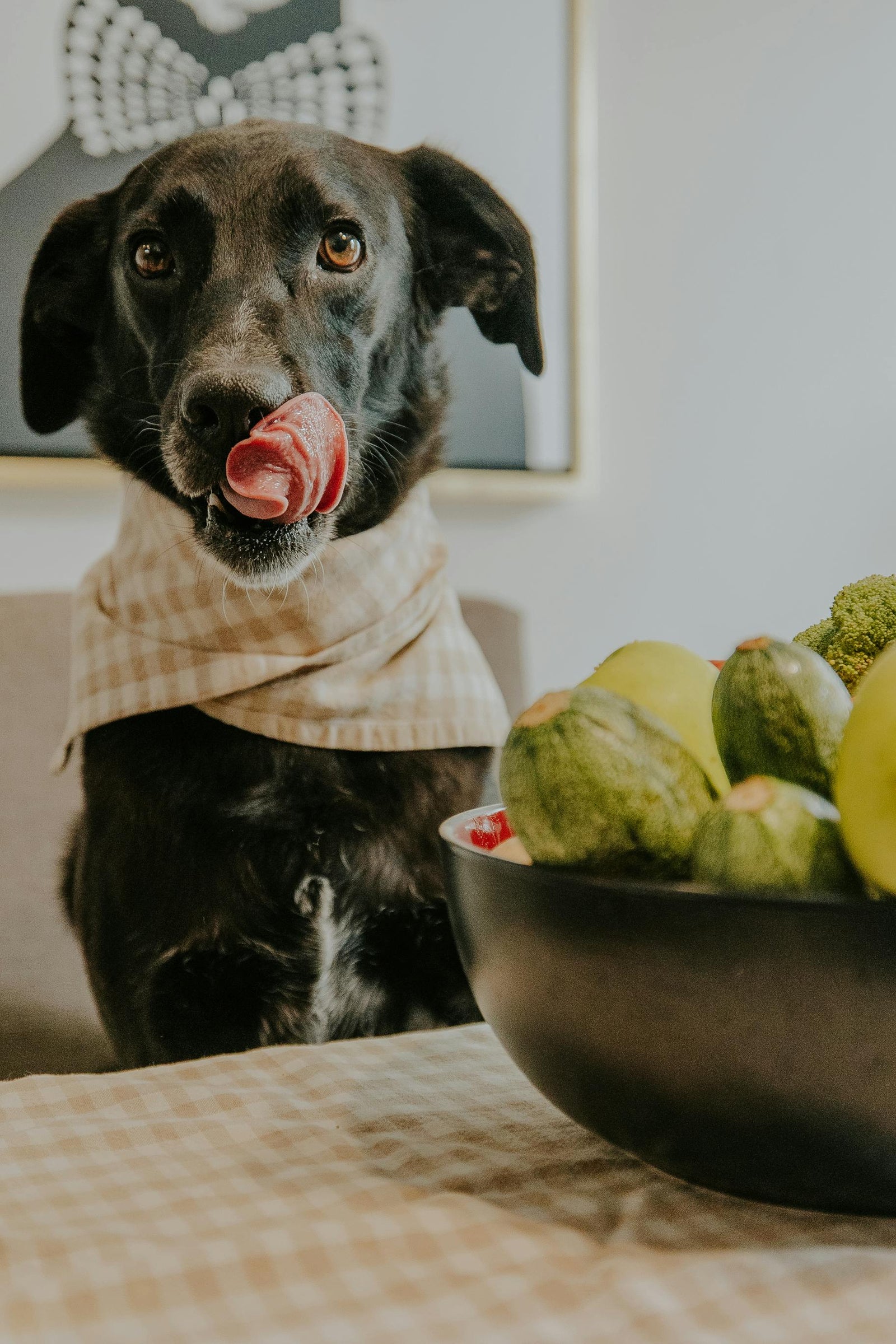 How to Prevent Dog Allergies and Hot Spots Naturally with a Raw Diet