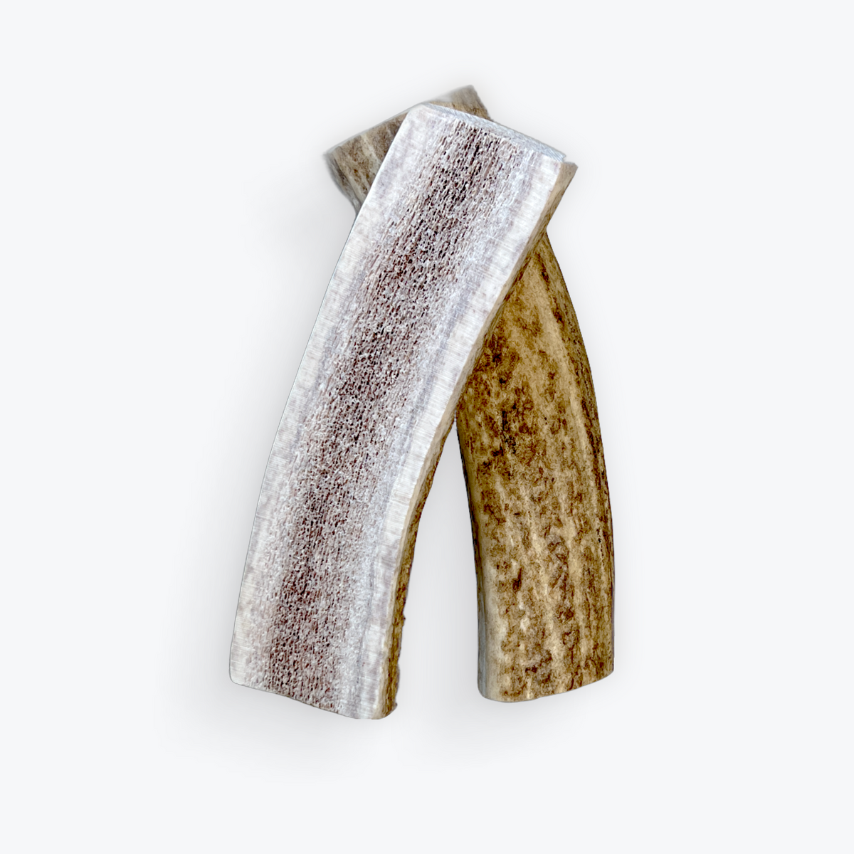 2 split elk antlers on a white background
