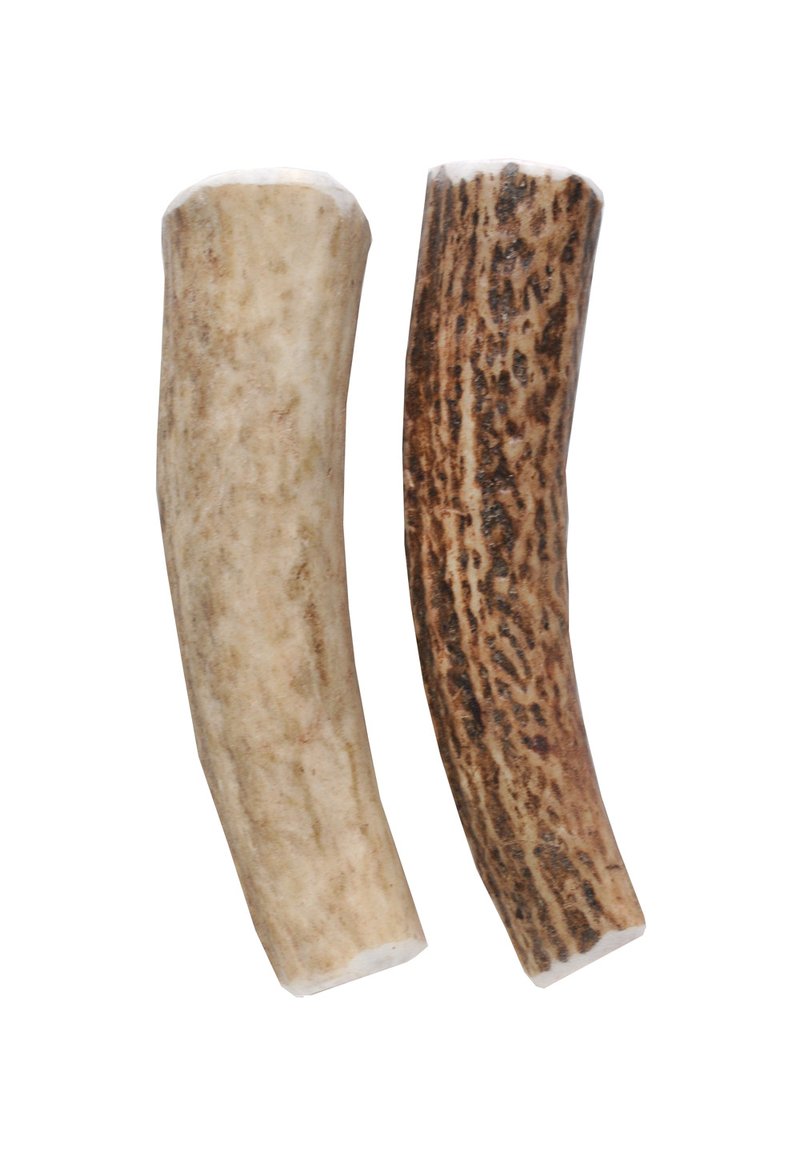 Two antlers split to become chews for dogs
