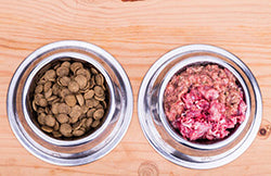 Two dog bowls, one with raw meat and the other has cooked dog food inside