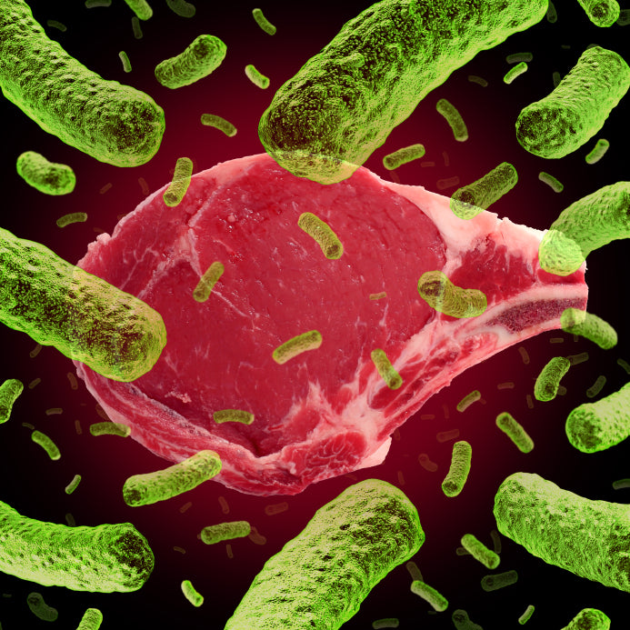 Bacteria covered meat illustration