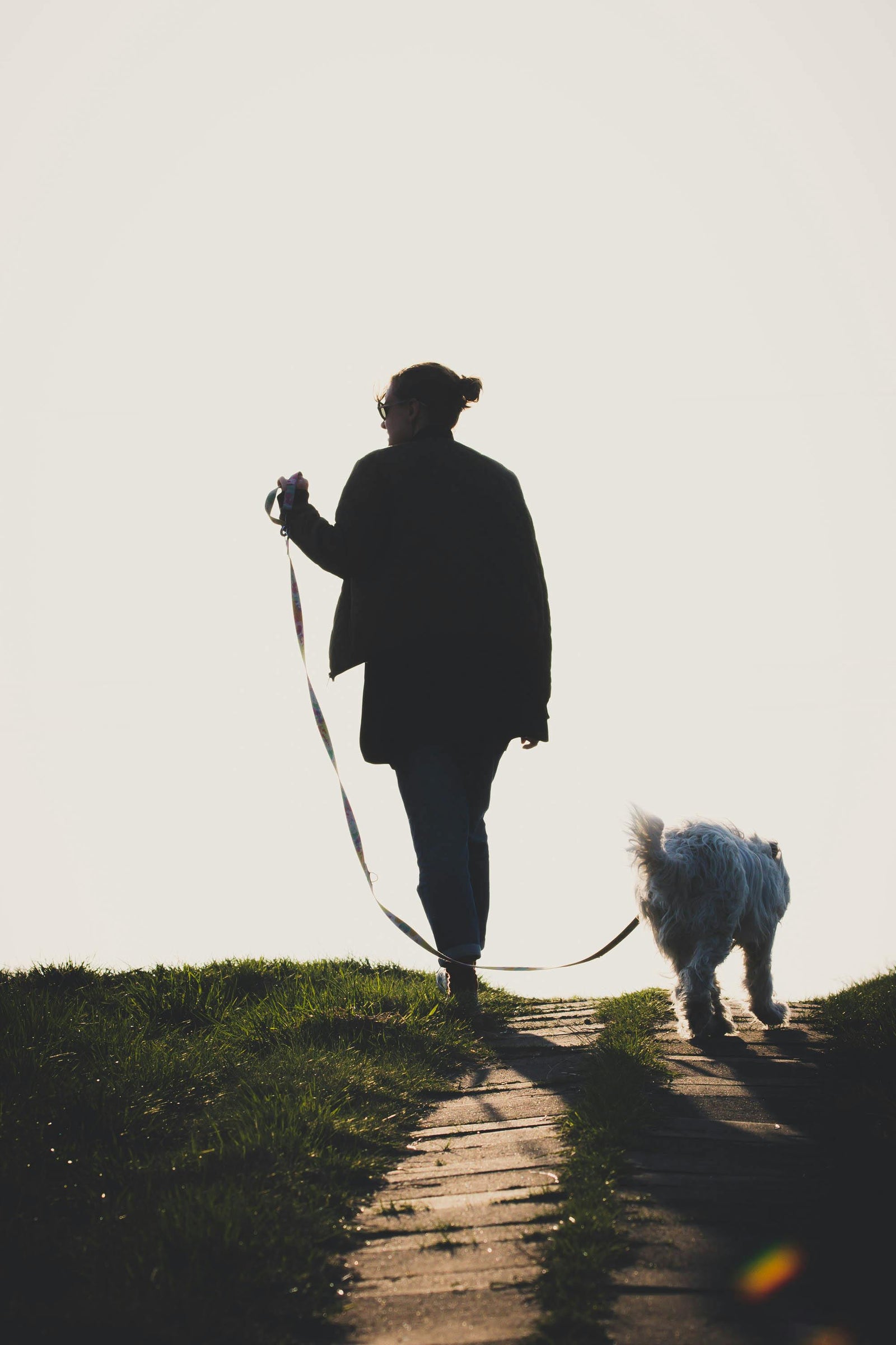 Woman walking down a path of stone pavers with her dog toward the horizon