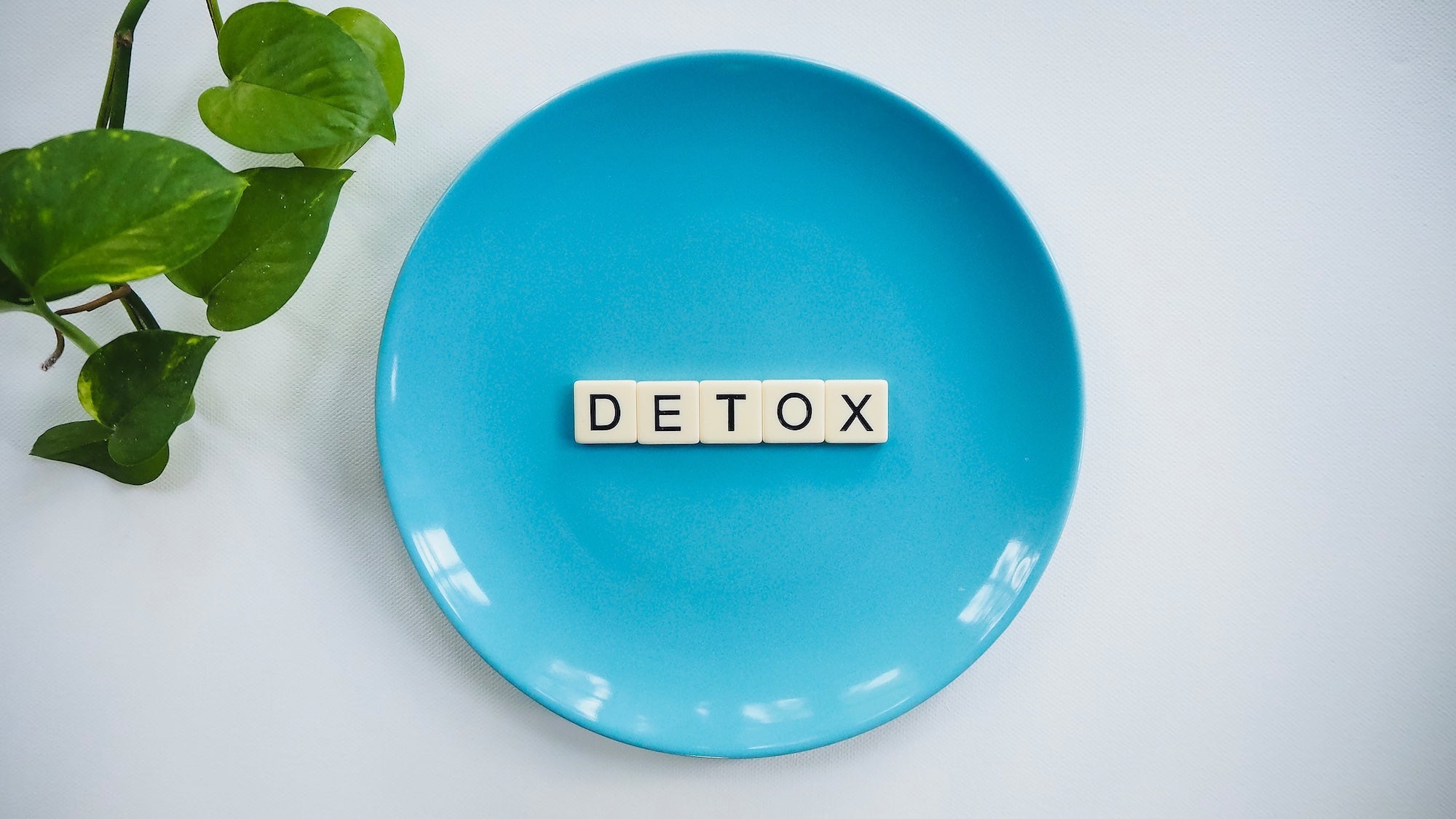 Blue plate with DETOX spelled on small squares in its center