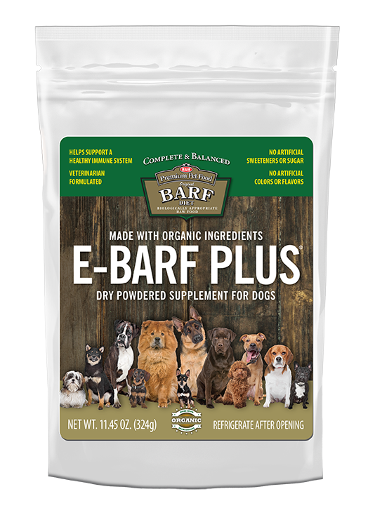 Dog Vomiting And Diarrhea From Eating Raw Diets