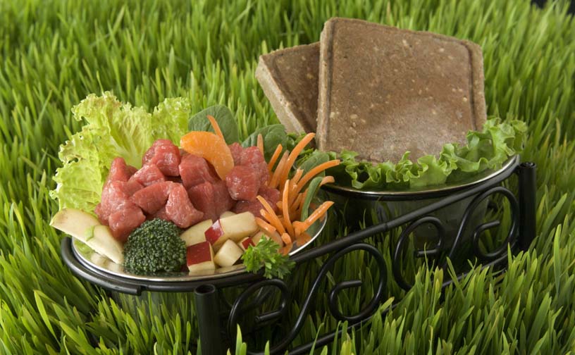 BARF World – Frozen Raw Pet Food