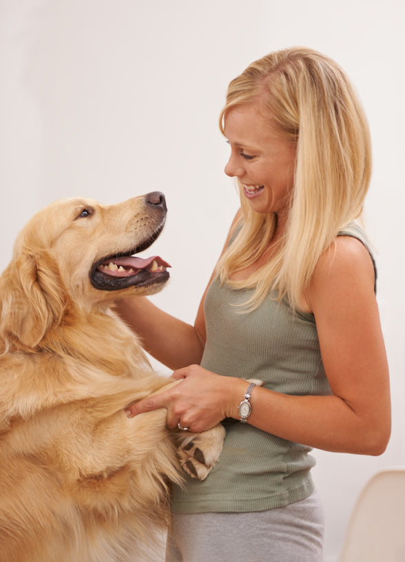 Dog Hair Loss: How Natural Remedies And Raw Food Can Help