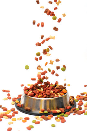 Like Oil And Water: Mixing Kibble And Raw
