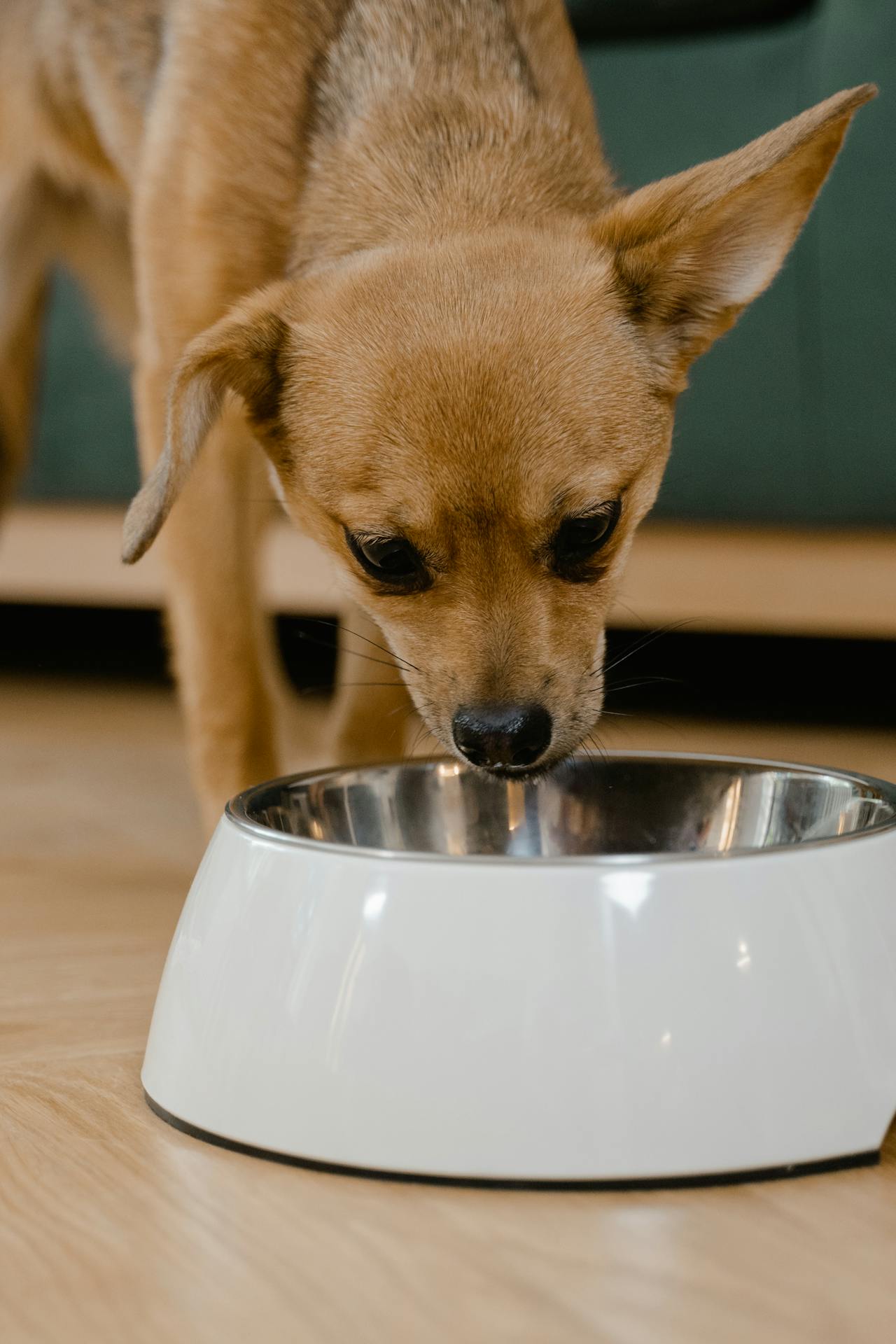 The Power of Pressure: Why Raw Food Is Safer and Better Than Processed Food
