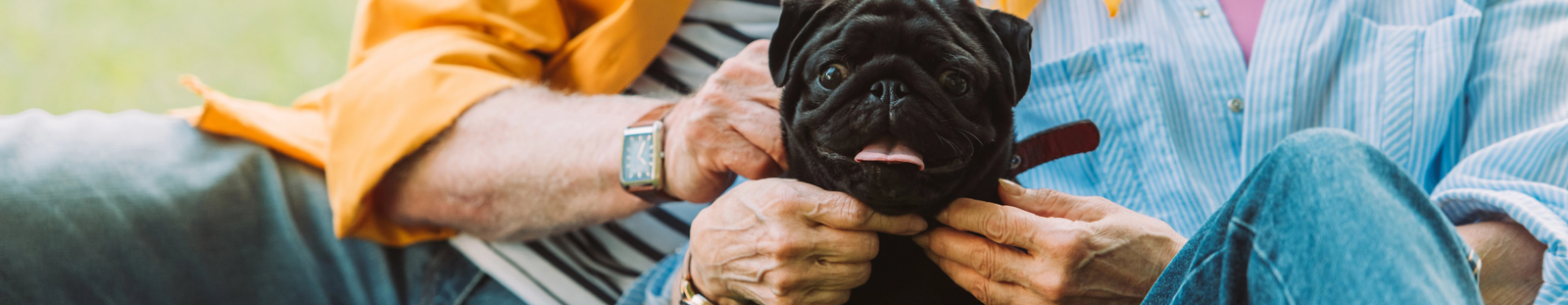 Couple petting their black pug while sitting outside