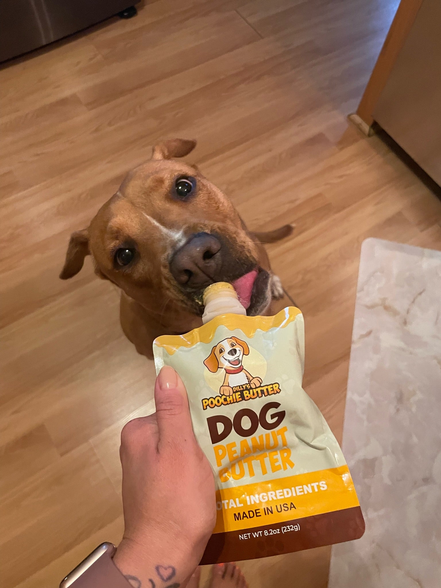 Dog eating Poochie Butter Dog Peanut Butter from its owner