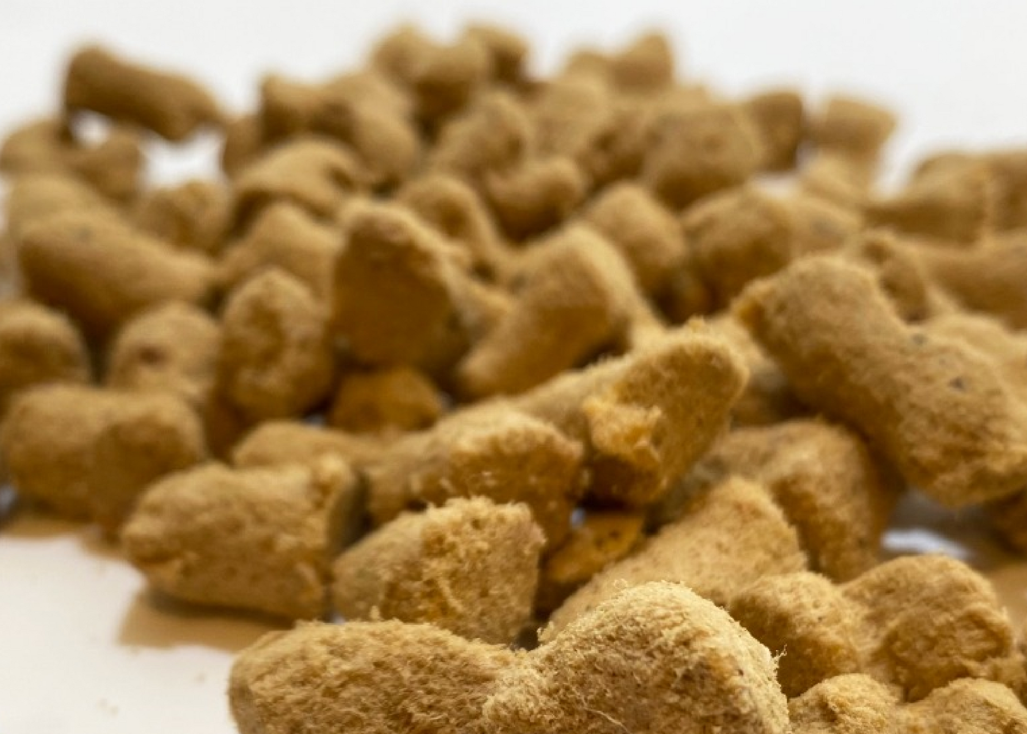 Freeze dried dog treats with salmon and chicken