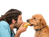 Man letting his golden retriever have a bite of his cheeseburger