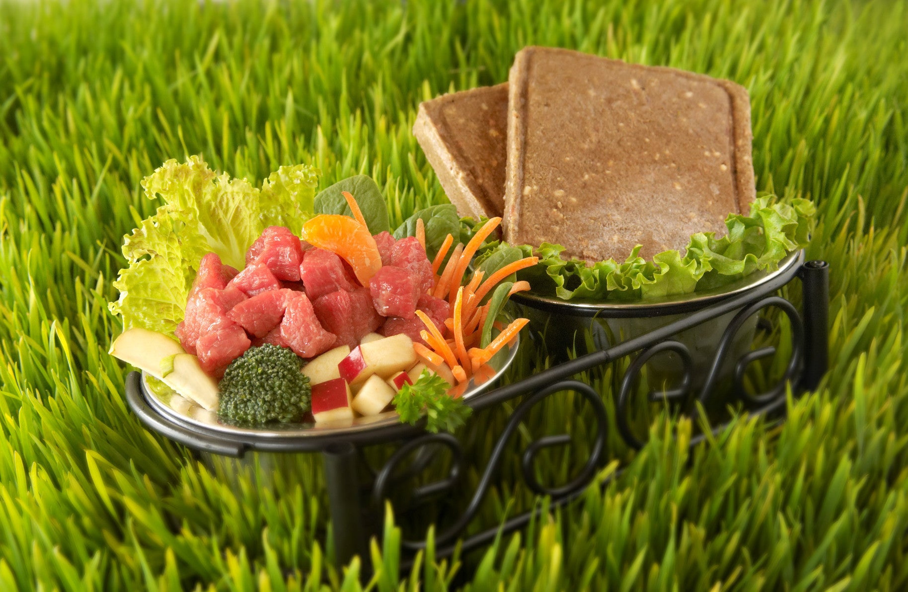 Dog bowls filled with fresh ingredients set in grass