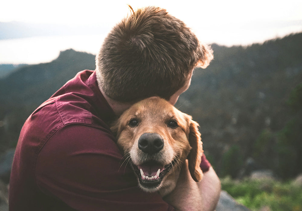Man hugs his golden retriever while resting on a hike