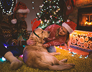 Golden retriever getting a hug on Christmas morning