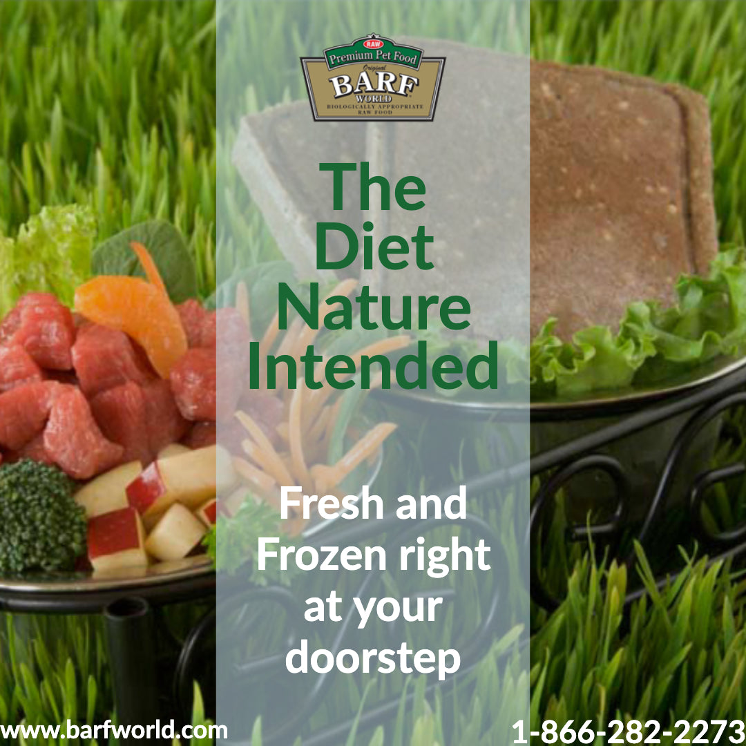 The Diet Nature Intended, Fresh and Frozen right at your doorstep