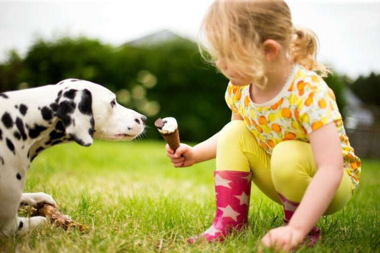 Little girl shares her ice cream cone with her dalmatian