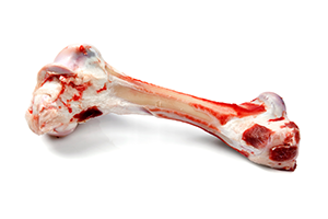 Bone with red met bits left over on its edges